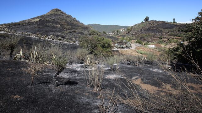 Cahora's tweet photo. 💧💧 Los agricultores piden que se declare la Emergencia Hidráulica en la cumbre de Gran Canaria tras los incendios  #MedioAmbiente #IFGranCanaria  https://t.co/FVAOC70qgi https://t.co/PGBLXEcpQ4
