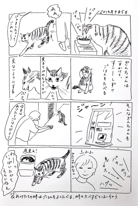 2019/9/5のぎんちゃん  #今日のぎんちゃん 