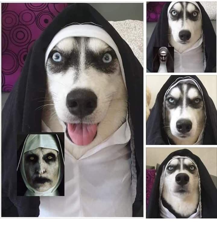 Shannon Brown tweet media