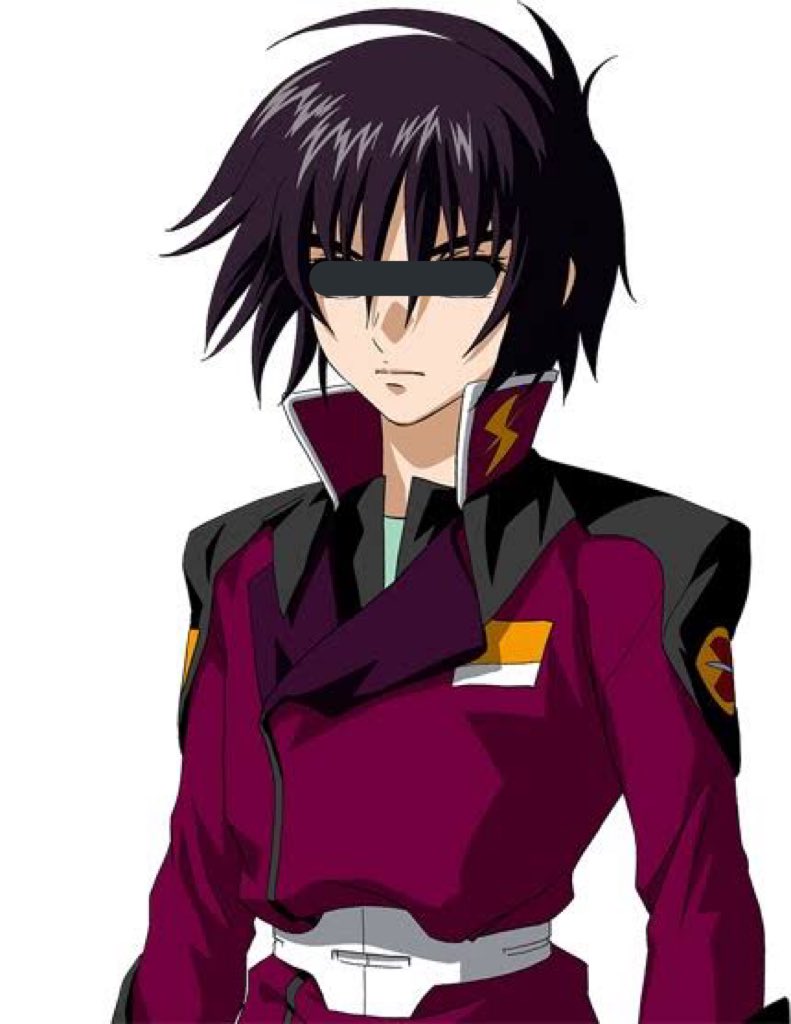 されな フリーダムは 俺が倒す ステラ ステラああああああああ