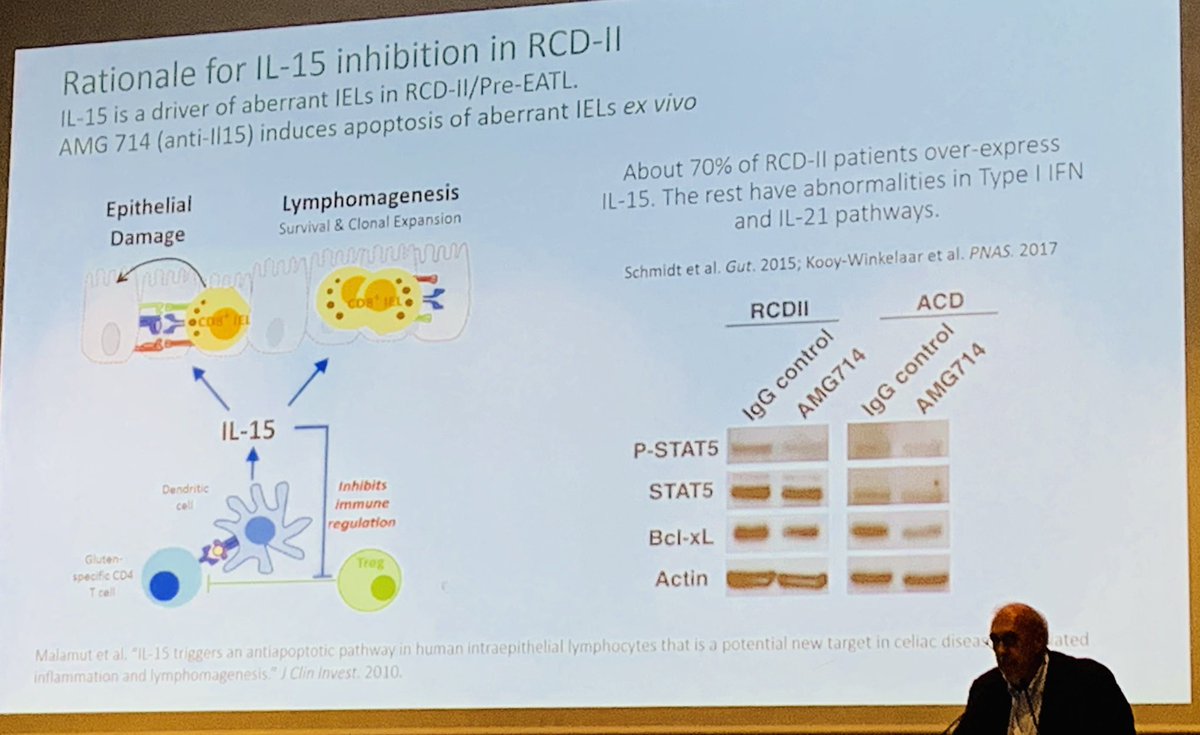 CeliacDoc's tweet image. Dr. Cellier reviewing promising results for #nonresponsive and #refractory #celiac disease #icds2019