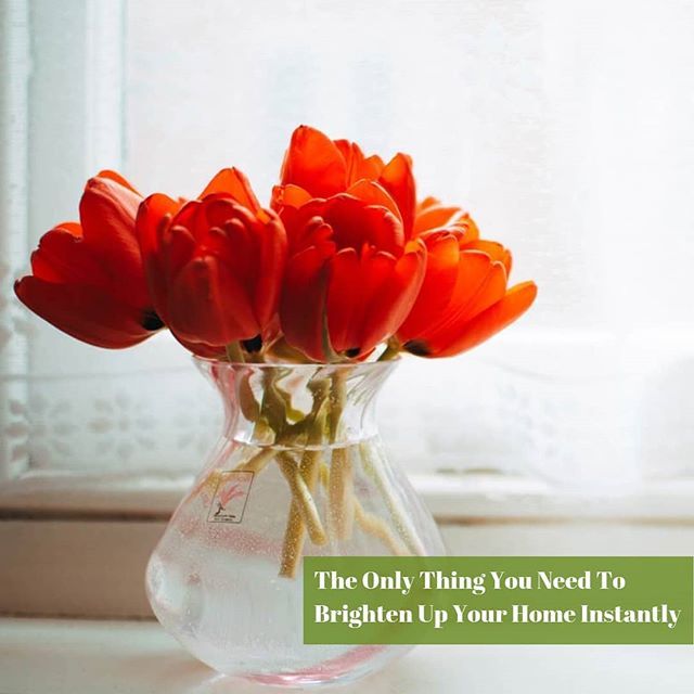 blueolivegreen's tweet photo. Check out the link in our bio to read about how you can brighten up your home with just this one thing, in so many ways!
.
.
.
#homedecor #homedecoration #interiordesign #interiordecor #dailyinspo #homedecorblog #homedecorblogpakistan #dormdecor #hostel #dormroom #lahore #is… https://t.co/coNgF2Ud5t