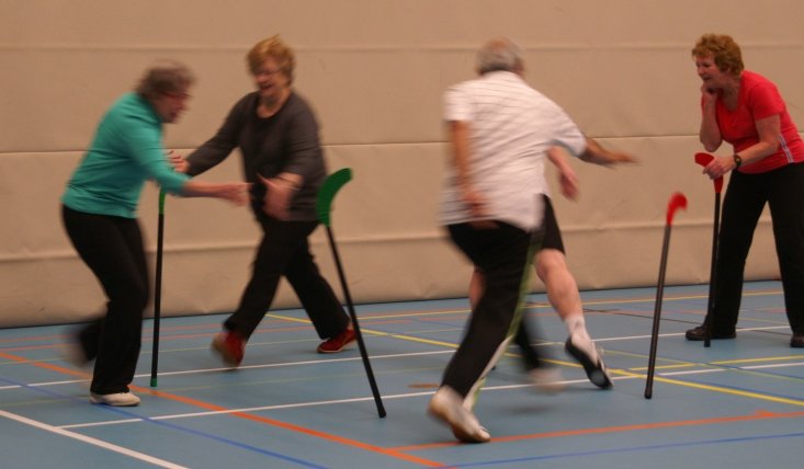 SimoneGerono's tweet photo. De opleiding sport- en beweegleider senioren gaat starten in Limburg! In heel Nederland is behoefte aan professionals die verantwoorde beweeglessen aan senioren kunnen geven. Iets voor jou? Kijk voor meer informatie op https://t.co/xnmZuwCCb8 #mbvo #bewegen #senioren https://t.co/677XKmw6gX