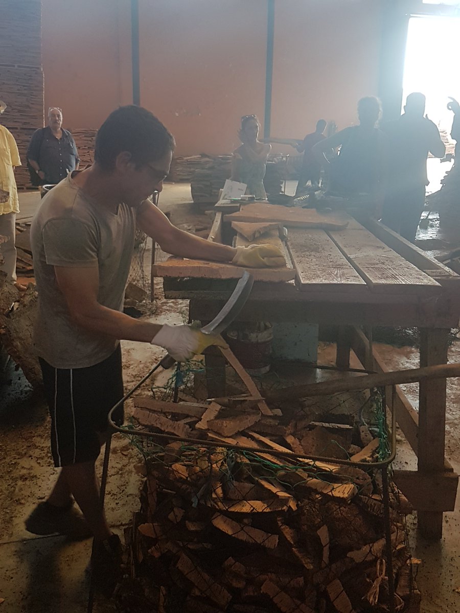 MedfestProject's tweet image. Study visit during the first day of the last conference meeting of the project #MEDFEST! 
The pictures from the gastronomy experiences of the Algarve region! 🍽