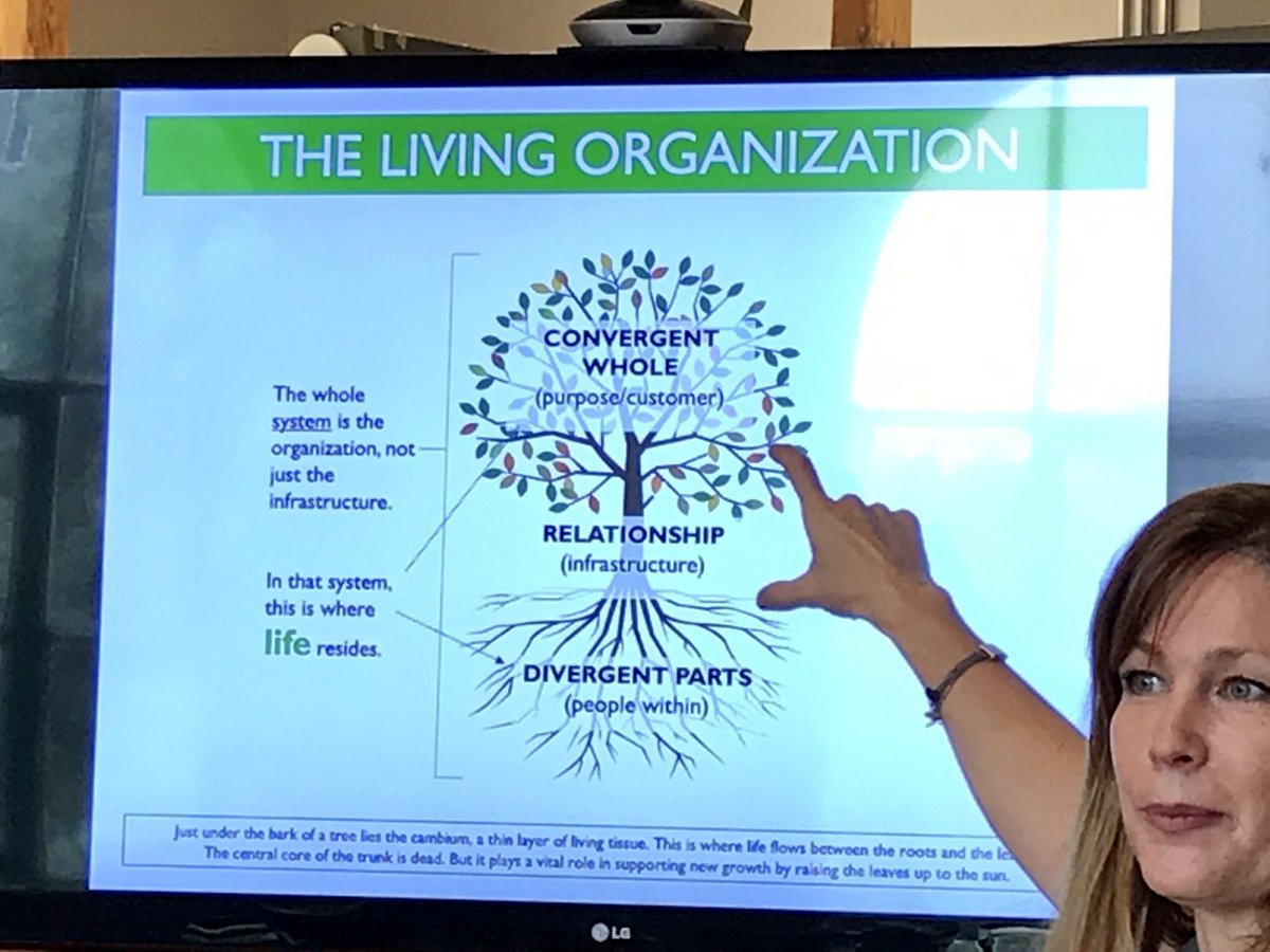 3 key takeaways from #FabricLearnex in Montreal: 1) Living organisations build their transformation on a culture of mature benevolence, 2) The leaders enact as gardeners of the organisation potential, 3) They invest in building their creativity skills and innovation processes.