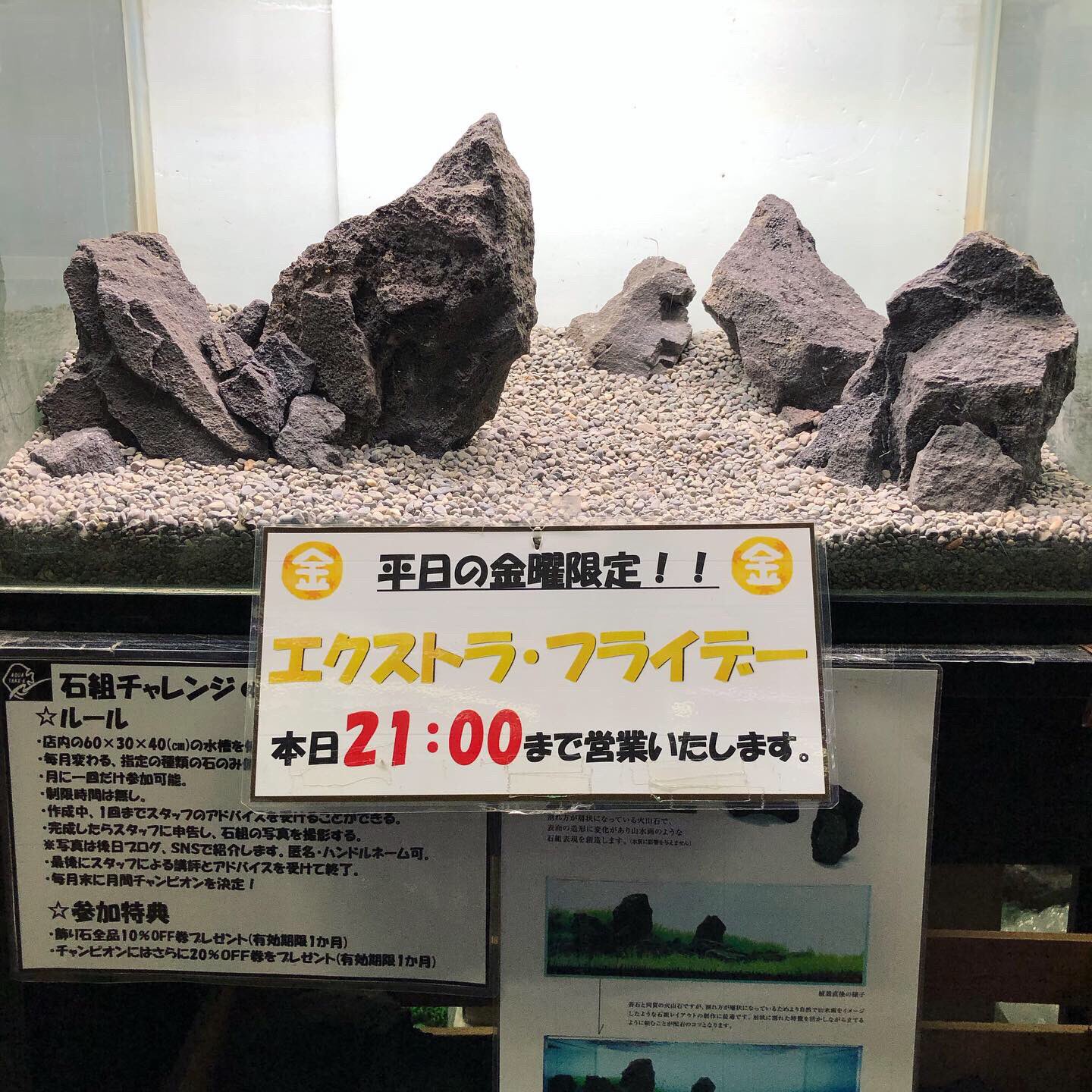 アクアテイク E アクアテイクイー 熱帯魚専門店 明日はエクストラ フライデー 21時まで営業いたします 石組チャレンジ アクアテイク Eも随時参加者募集中です 2 3枚目はフラット水槽で作ったミニ石庭です エクストラフライデー Iwagumitakee