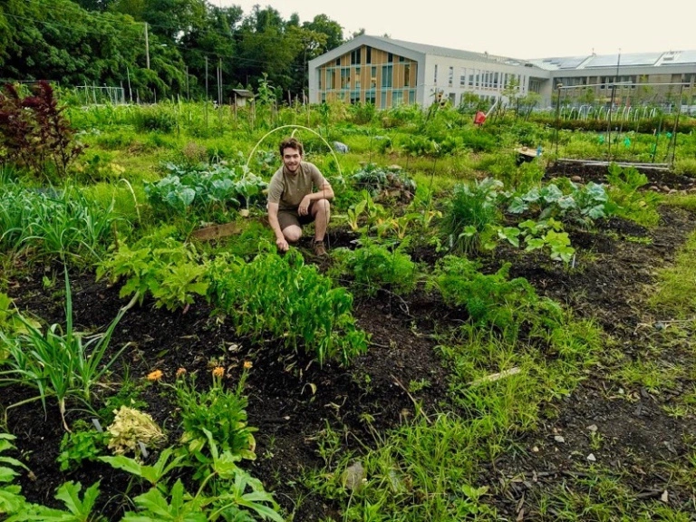 NFI_Info's tweet photo. This part made me laugh and then laugh again "Pictured from foreground to background: Leeks, eggplant, peppers, Davy, carrots, chard, garlic chive, basil, okra, tomatoes, summer squash."

https://t.co/dn3vyajUp2 https://t.co/dd1UsrIztM
