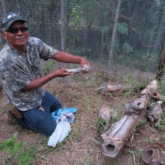 iguanafndn's tweet photo. The first pictures from @JoeCoolPink of the new rescue and captive breeding center in the #ReservaNaturalheloderma recused iguanas from deforested and Urban areas are being brought to the Center for later release into the reserve #Guatemala #SaveIguanas #Conservation #herpetology https://t.co/SCgUHC2hCL