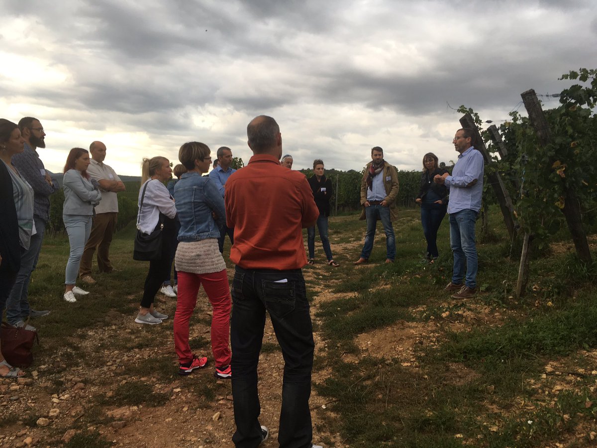 [Germe+] Atelier découverte de la biodynamie avec le <a href="/RESEAU_GERME/">GERME</a>