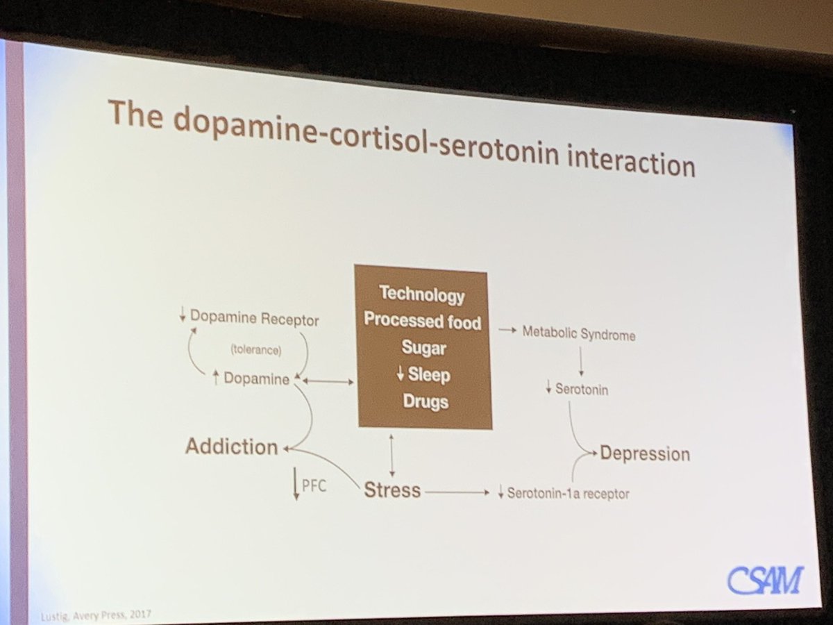“there’s nothing wrong with Dopamine but there IS something wrong with dopamine every 15 seconds” R. Lustig #2019CSAM #TechAddiction #ASAM #addictionmedicine