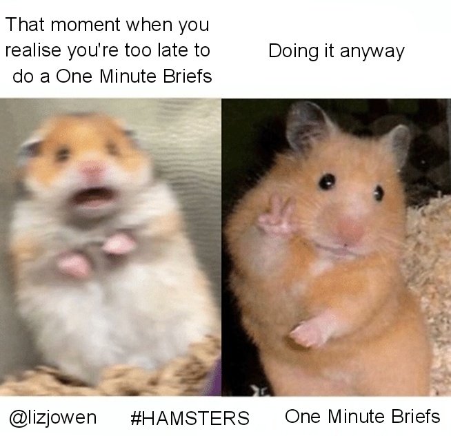 lizjowen's tweet photo. That moment when you realise you're too late to do a @OneMinuteBriefs.... 😅 #hamsters https://t.co/iHYSdzLDR9