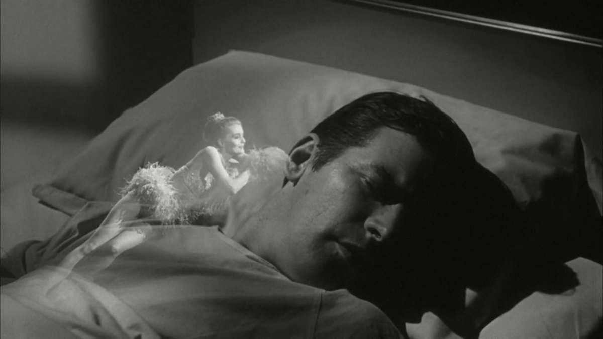 book Il muschio e la