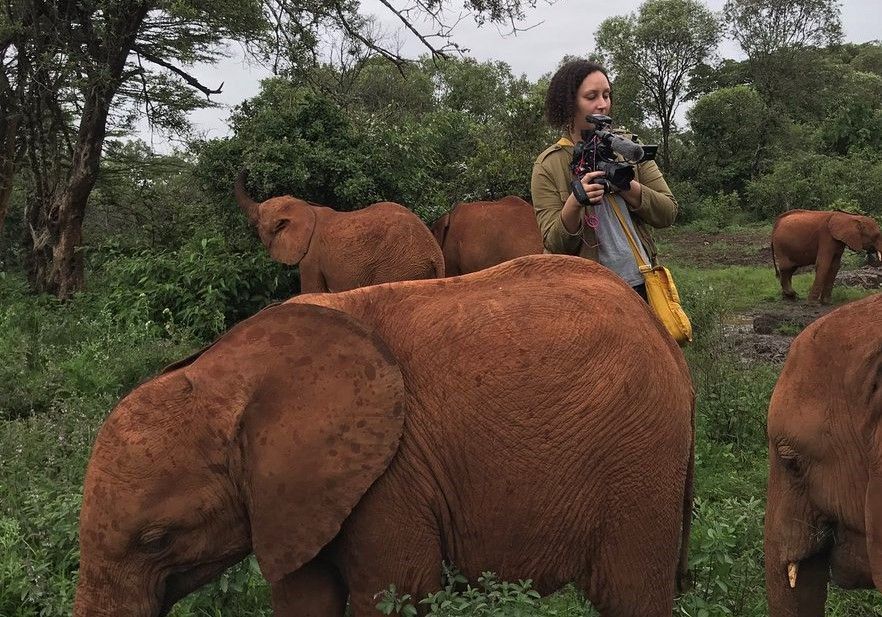 ICFJ's tweet photo. 2019 Bringing Home the World Fellow and @humankindvideos senior producer @SheekaJS traveled to Kenya to report on conservation efforts to protect elephants and northern white rhinos, with support from #SHFoundation. Watch: https://t.co/wAdwNtt8fc #icfjabroad https://t.co/H1F0Twu0mH