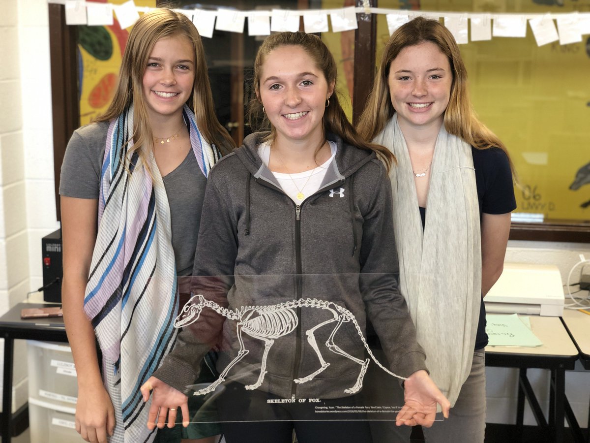 Alex Northrup tweet media