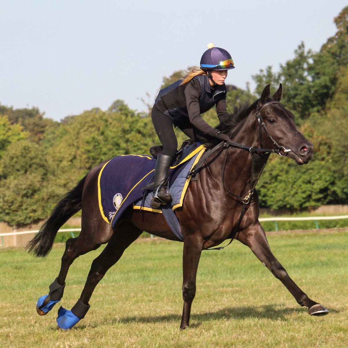 hpalmerracing's tweet photo. DEBBONAIR (Slade Power - Bryanstown Girl) will line up at @NewcastleRaces tomorrow (Fri 6th Sep) in the 1m2f Handicap at 2.05pm. @Mitchelljack77 takes the ride. Best of luck to his owner, @commission_air .
@darleystallions #sladepower #poweredbypolroger https://t.co/YPojMyBfZj