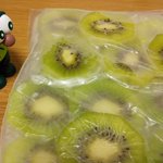 コールドスリープする仲間を切なそうに見つめるキウイ!表情が何とも言えない!