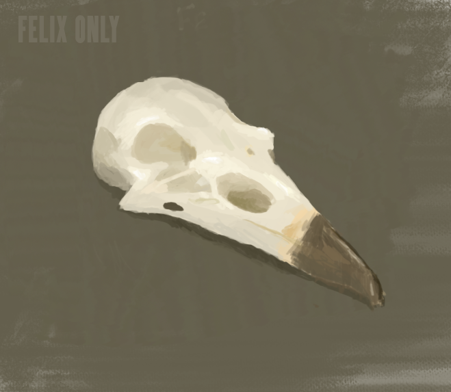 Felix Only tweet media