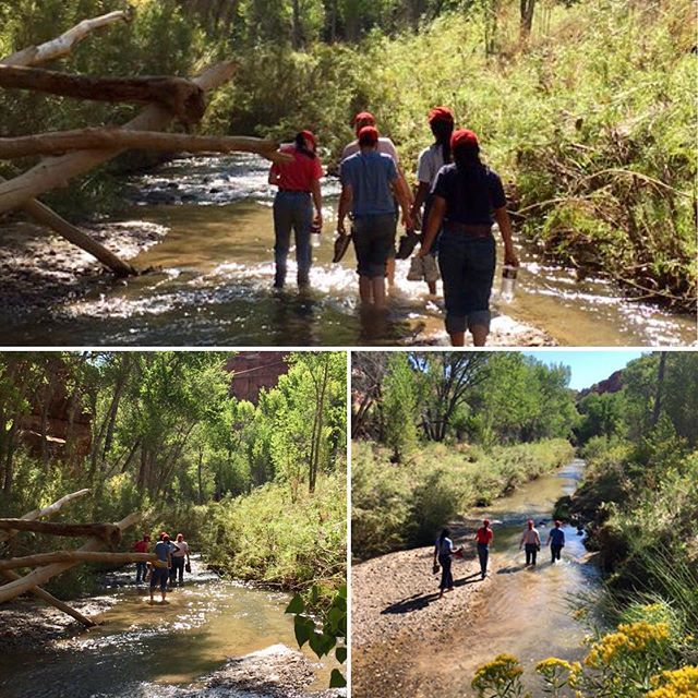 Turn-About Ranch tweet media