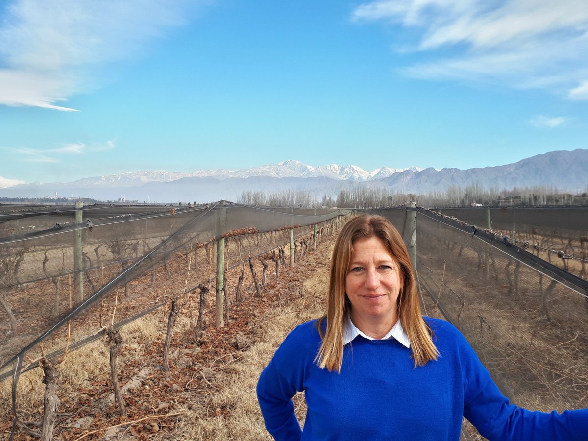 Sitio Andino tweet media