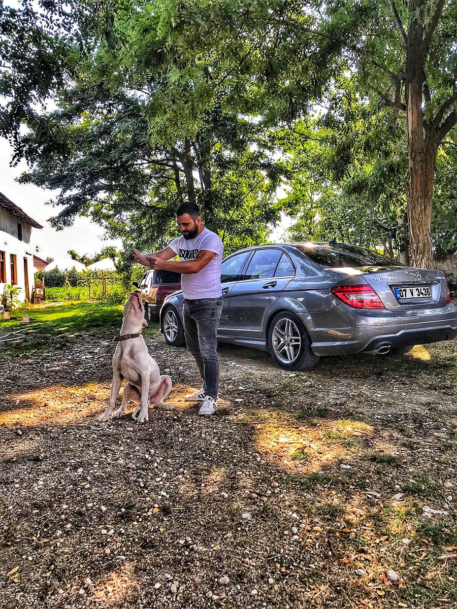 #Sahte#Dostlardan#İyidir#ZEUS.     #Dogo#Argentino#💥