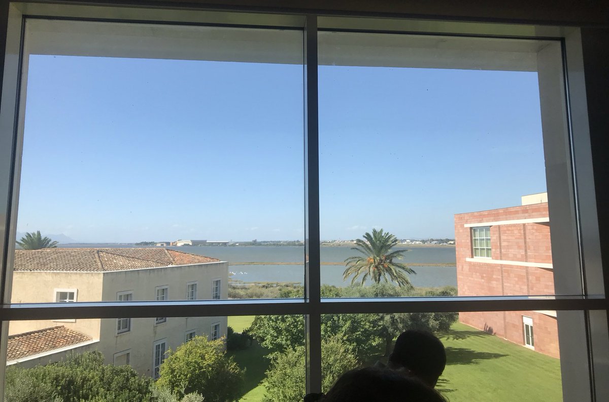 RSAEurope's tweet photo. Visit to the @TiscaliTech Open Campus (and the view from their window) #SummerCollege https://t.co/zK3yAmoMyn