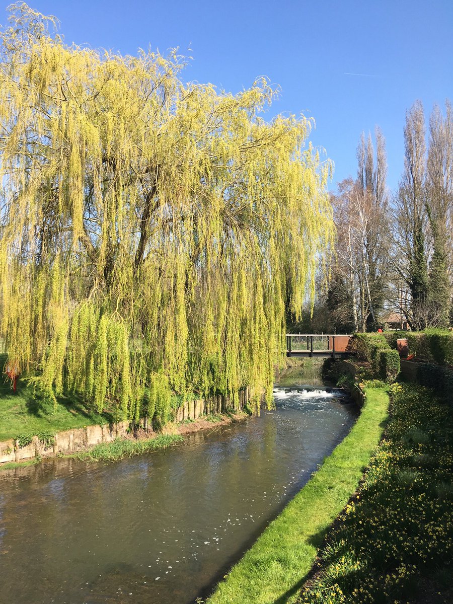 Rise_Learning's tweet image. Our FREE Mindfulness at Work taster on 13th Sep at Jordan’s Mill near Biggleswade still has a couple of places available. Starts 10am and all done in time for lunch! Get in touch to book your place.