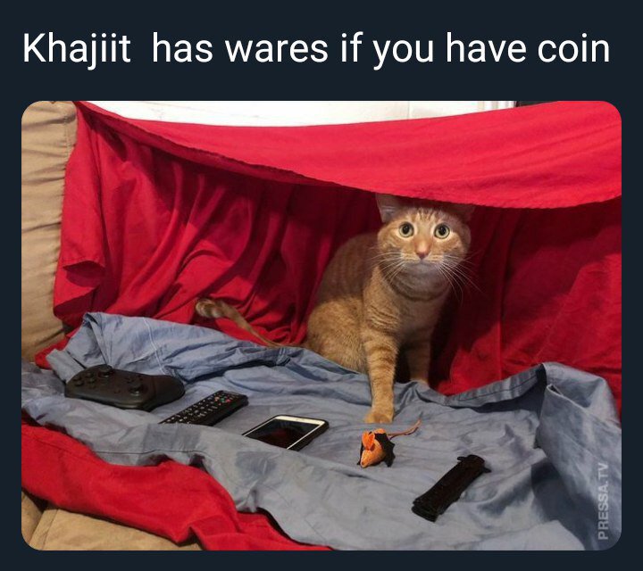 EDtLel3XkAAJasC?format=jpg&name=900x900