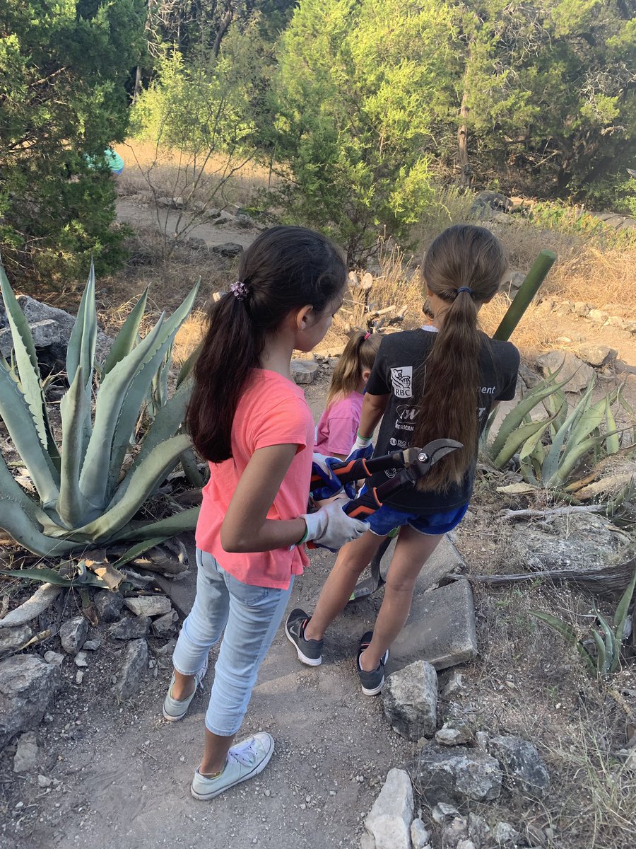 MpedrazaRRISD's tweet photo. 5th graders doing maintenance on the @LME_Lions preserve. Team Sparkstro! https://t.co/Fbd9zo9HwT