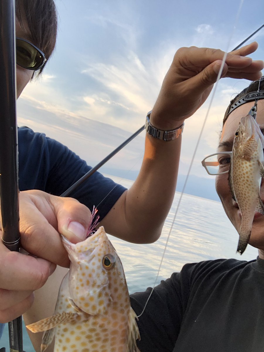 Akio釣り ナイン被害者 على تويتر 伊豆でハタ釣ってると実感します 房総とかでアカハタの釣り方してるとカサゴが釣れますね 東京湾でショアスローやるとポイントによりですが マゴチとかヒラメ 少し地域が違うだけで魚が違うんだなって思います Zeake S