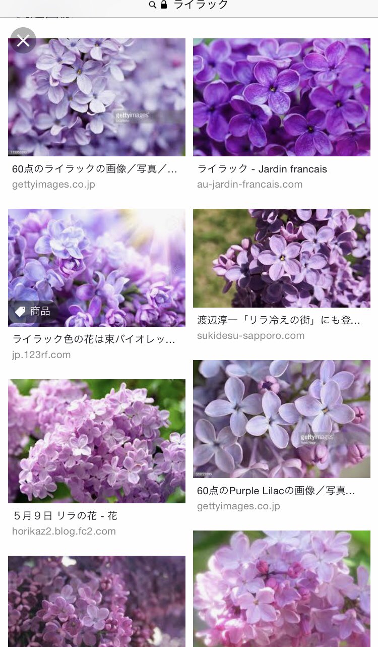 一藤 V Twitter ちなみに ライラック の花言葉は 美 誇り で 特に 紫のライラック の花言葉は 恋の芽生え 初恋 らしいで 素敵やん T Co Uyvkw574sl Twitter