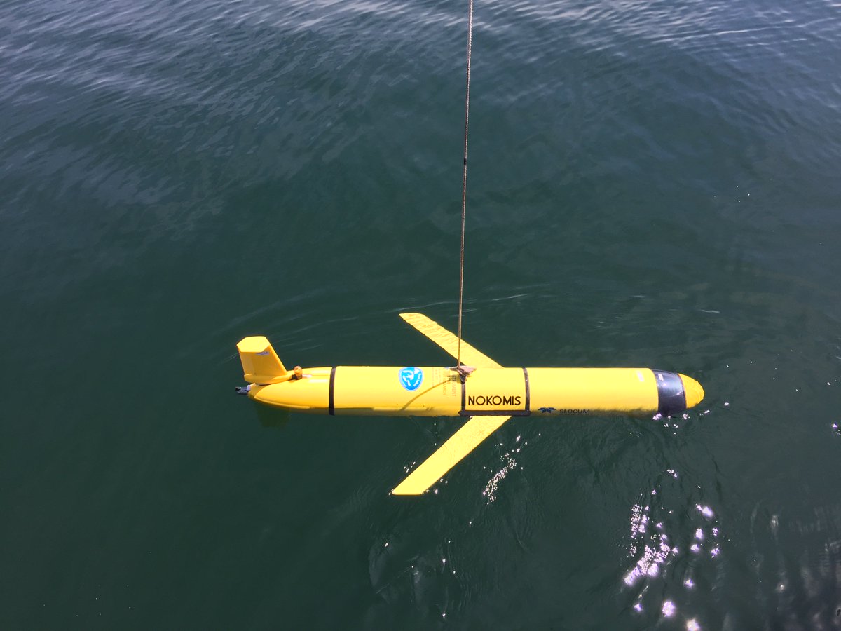 eparegion5's tweet photo. Today we will deploy our glider Nokomis. It will cruise Lake Erie’s central basin recording continuous high-resolution dissolved oxygen data and other parameters used to monitor the lake's health, part of the Cooperative Science and Monitoring Initiative. #LakeGuardian #CSMI2019 https://t.co/YRQyRllFY9
