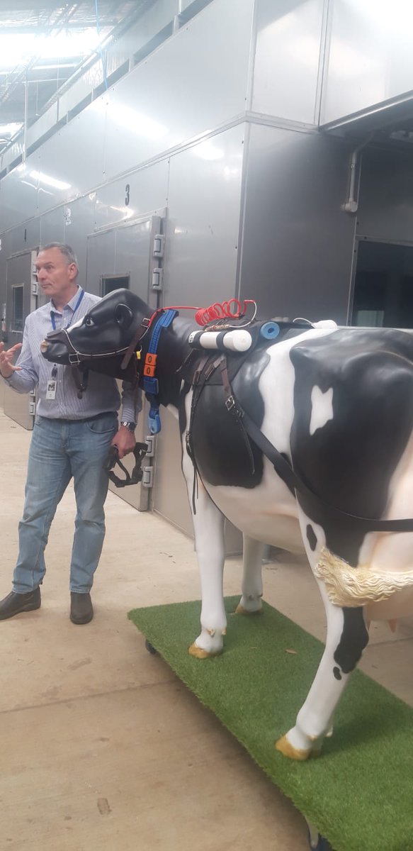 MT Bonneau tweet media