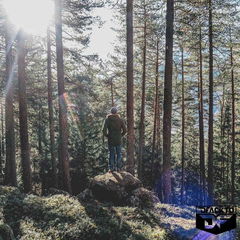 dfackto's tweet photo. When we’re hiking, we forage for edibles along the trail.

Here’s a starter guide to find edibles wherever you are:
https://t.co/k7kN2arnfc

#DFACKTO #Outdoorsmen #Camping #Outdoors #Plants #Forage #Hiking https://t.co/GXXrEWnhHC