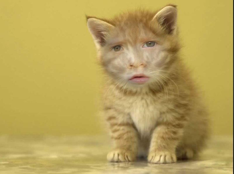 Sᥒᥲρᥴᥙbᥱ Sιᥣvᥱr (@atethegrandslam) on Twitter photo 