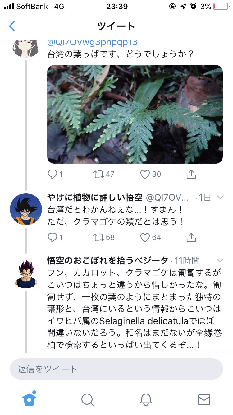 やけに植物に詳しい悟空wwwおこぼれを拾うベジータと2人の弱点を補うピッコロ出現に文字通り草www