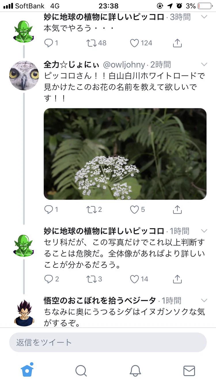 やけに植物に詳しい悟空wwwおこぼれを拾うベジータと2人の弱点を補うピッコロ出現に文字通り草www