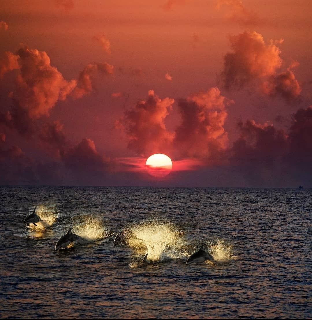 PositiveStyle3's tweet image. Con Alegría Puedes Darle Vida a Una Persona... By Rabí Najman...