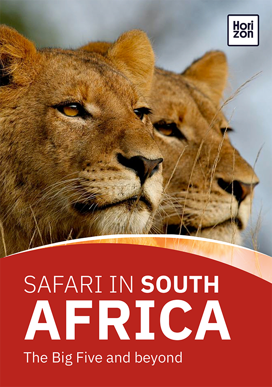 Safari in South Africa: Read our free guide to learn which #safari location is best for you, featuring <a href="/StuartButler2/">Stuart Butler</a> <a href="/HG_Richardson/">Heather Richardson</a> >>> horizonguides.com/guides/safari-… #TravelLessOrdinary