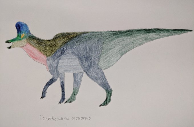 コリトサウルスのtwitterイラスト検索結果 コリトサウルスのtwitterイラスト検索結果