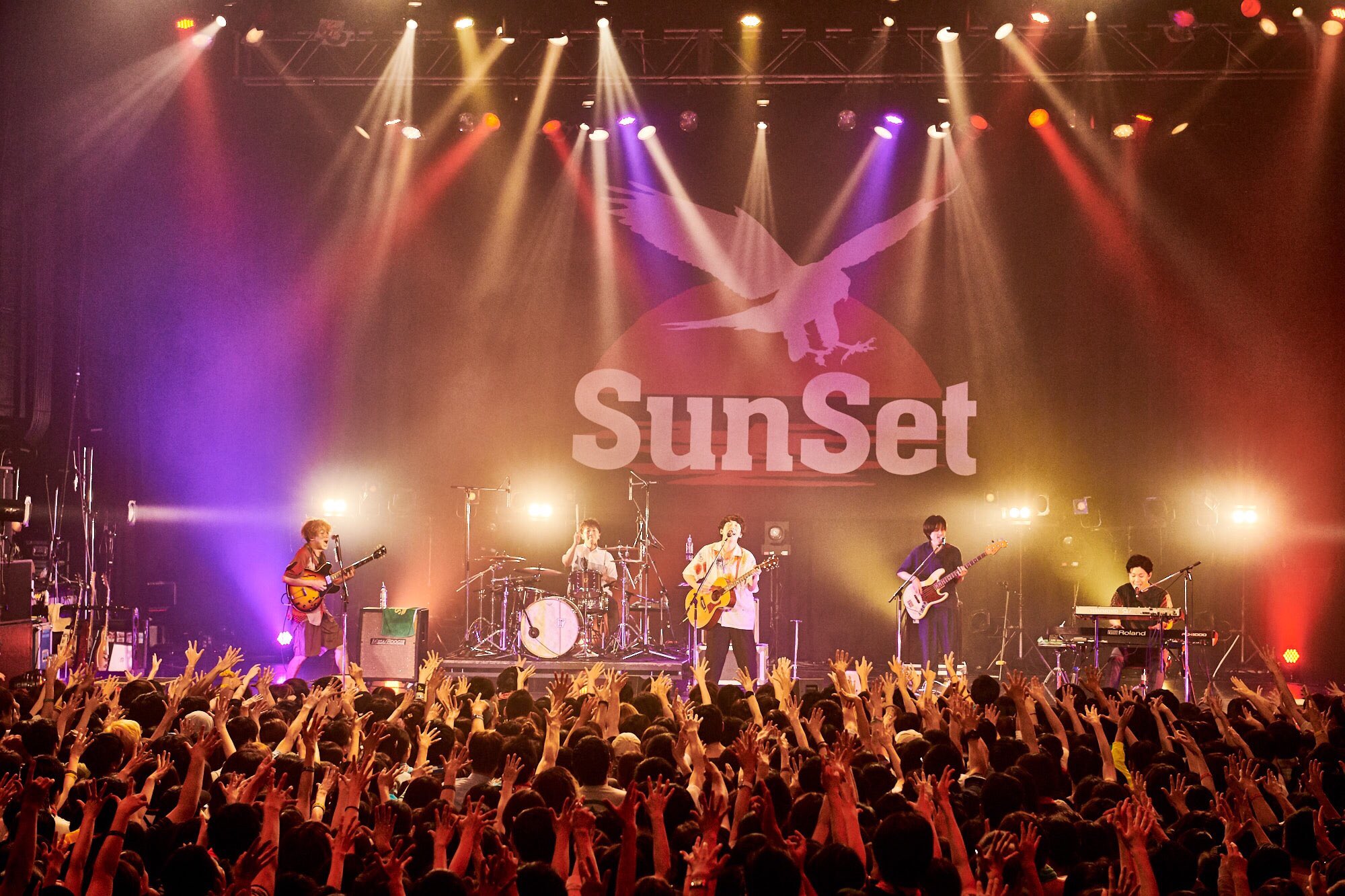 スピッツ【メモリアル放浪カップ/サンセット】オレンジ スピッツ【メモリアル放浪カップ/サンセット】オレンジ スピッツ