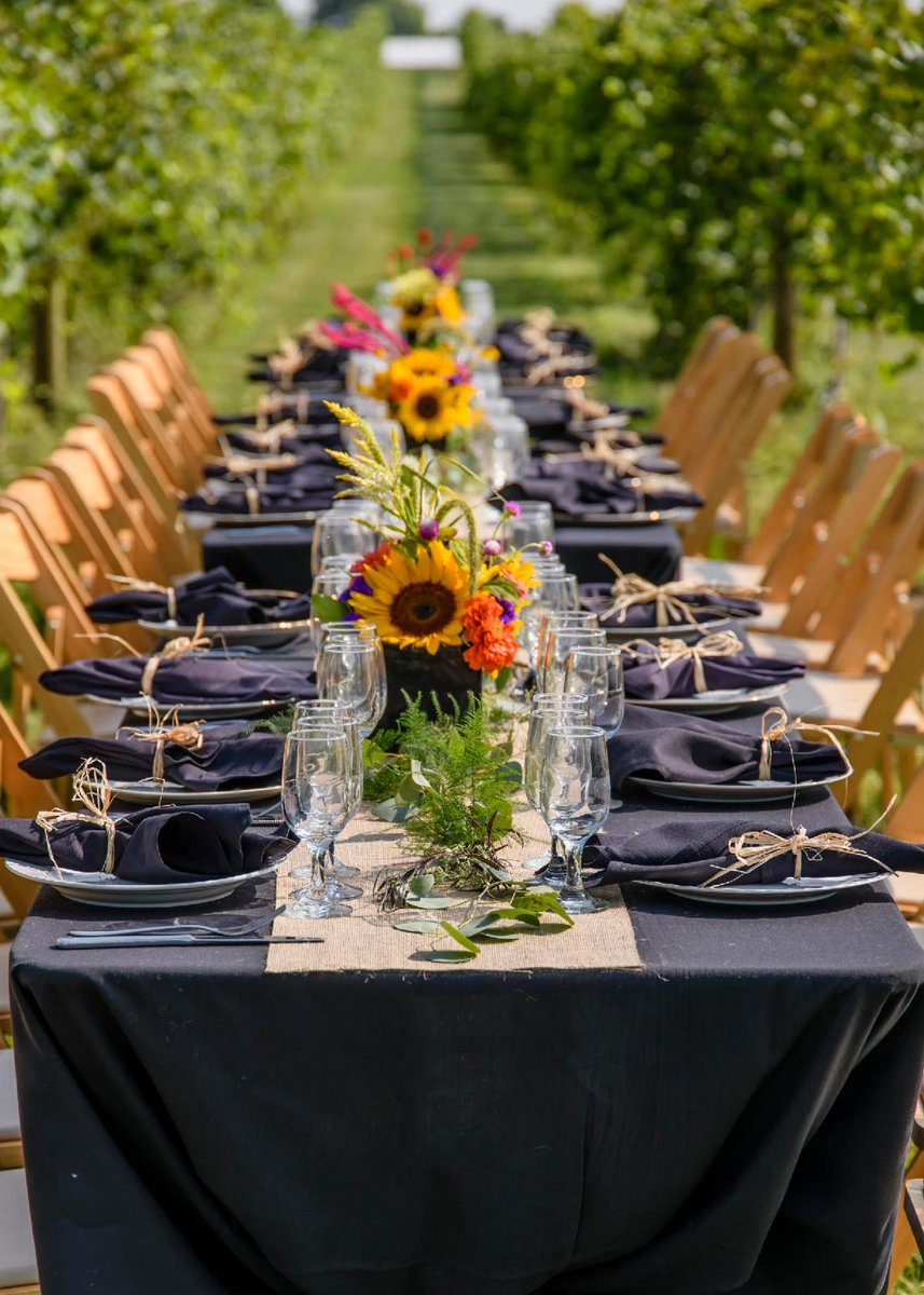 sycamoremallow's tweet image. Join us in the vineyard on Friday, September 13th conta.cc/32jtugL