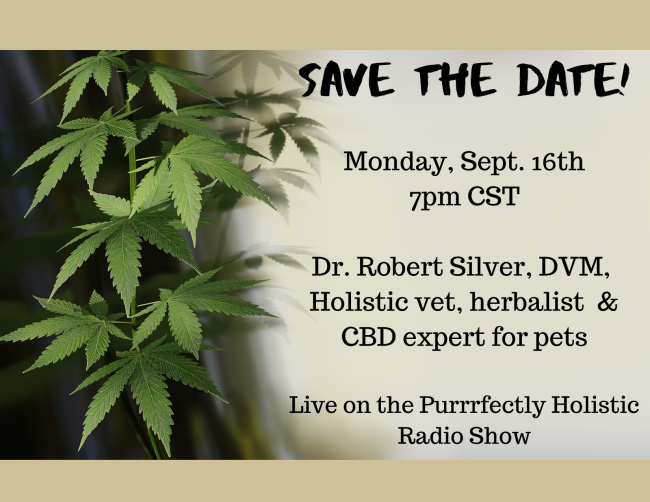 PurrrfectlyH's tweet photo. Save the date!  Dr. Robert Silver, DVM guest on Purrrfectly Holistic Radio Show | #detailsinside #dontmissit #cbd #cbdforpets #holistichealth #alternativehealing #cats #pets #savethedate https://t.co/CWWbNNfXzv https://t.co/wwOZuaBxnO
