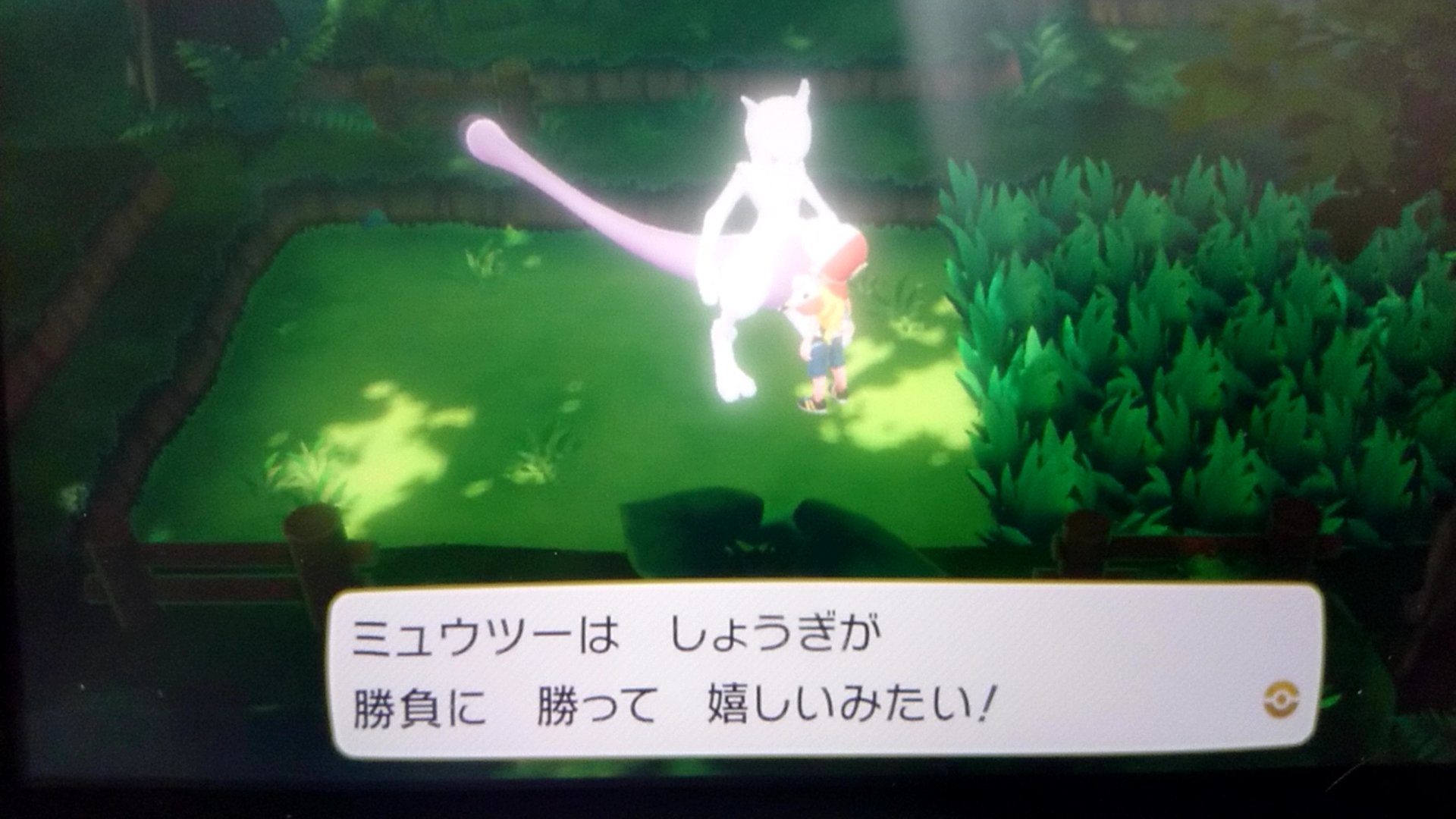 久米 烏鷺 魔王 ポケモンレッツゴーピカチュウ データ爆発四散したんで 最初から 最初から映画ミュウツー入れたら レベル差 笑 可愛いけどな トキワの森の日光が抜群で そこで話しかけたら わざわざ降りてきてニッコリマークとか おま マジで名前つけ