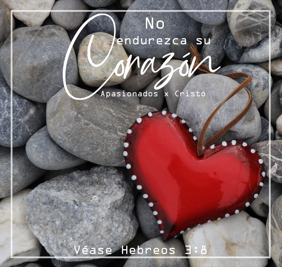 APxC01's tweet photo. #No endurezca su corazón

Hoy queremos motivarle a que se mantenga siempre en comunión con Dios y que cuando vengan las tentaciones las cuales querrán endurecer su corazón no pasará (Véase hebreos 3: 8)  #Dios #Jesus #Biblia #Versiculo #APxC01

Instagram: https://t.co/cfFVVpKefq https://t.co/jCf0knCA2a