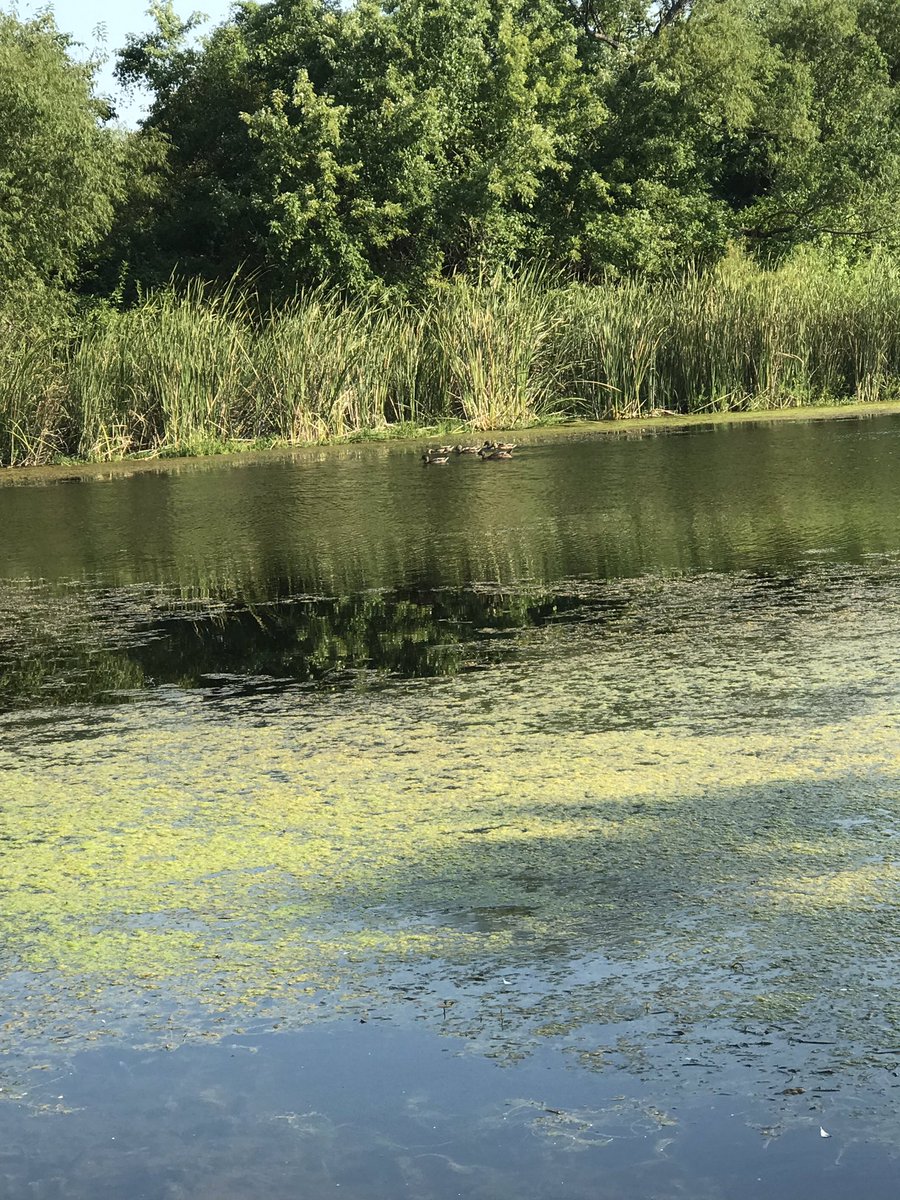 OKH2O's tweet photo. A beautiful morning to be working with residents to test their pond. #PONDProgram https://t.co/CItLMQx13E