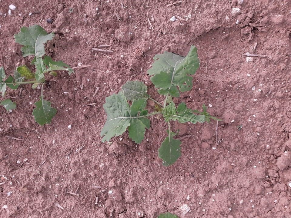 Station ACE NORIAP tweet media