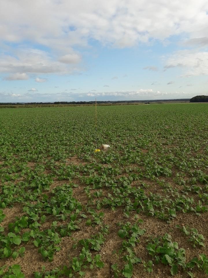 Station ACE NORIAP tweet media