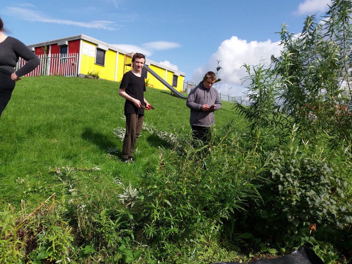 ToniGPASP's tweet photo. S4 St Andrews Prince's Trust Group helping us in our Community Garden today we were tackling our Compost, thankyou.@SAHS_SfL https://t.co/yh1ewsiFML