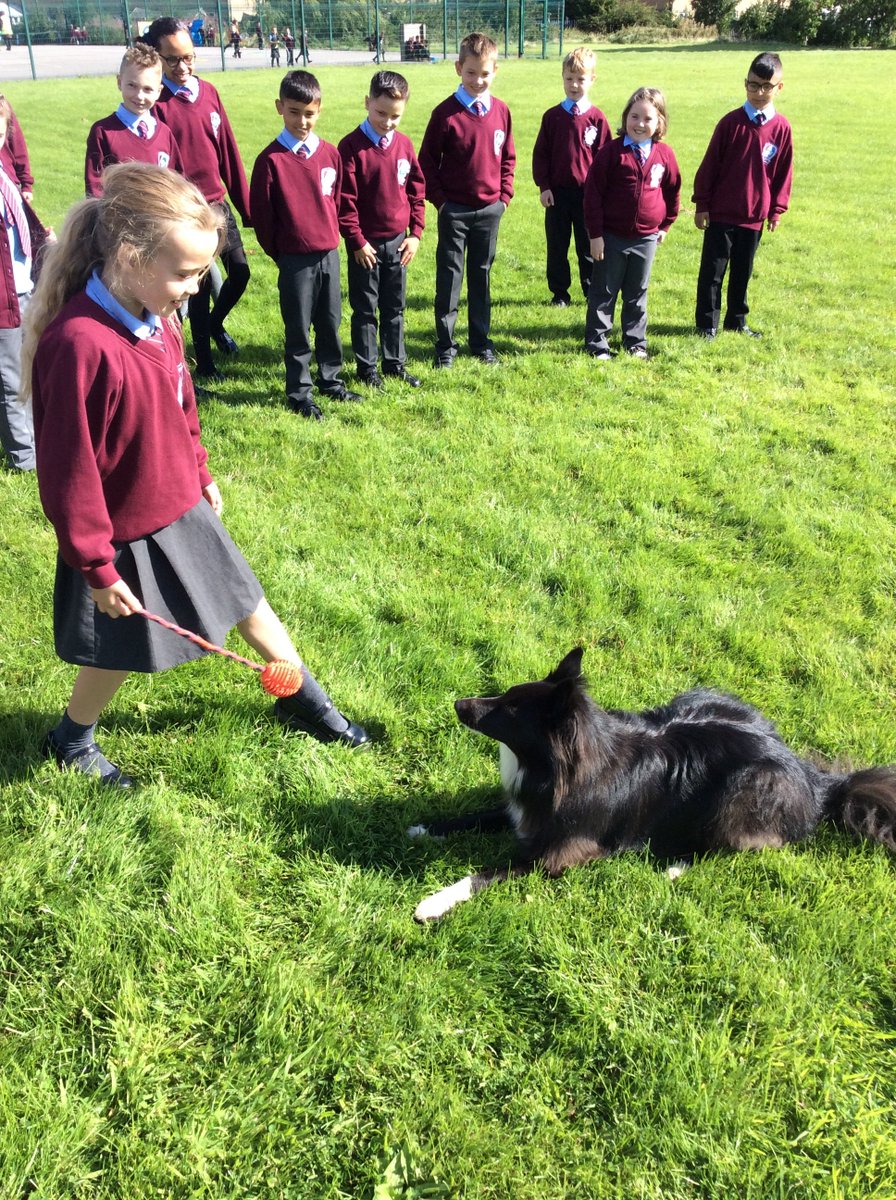 year5and6church's tweet photo. @year5church Dynamic Dogs had some special visitors today for Well-being week! @church_prim @tattywharfedale #wellbeing #experiences #yoga #dogvisit https://t.co/WXJA5DqSwx