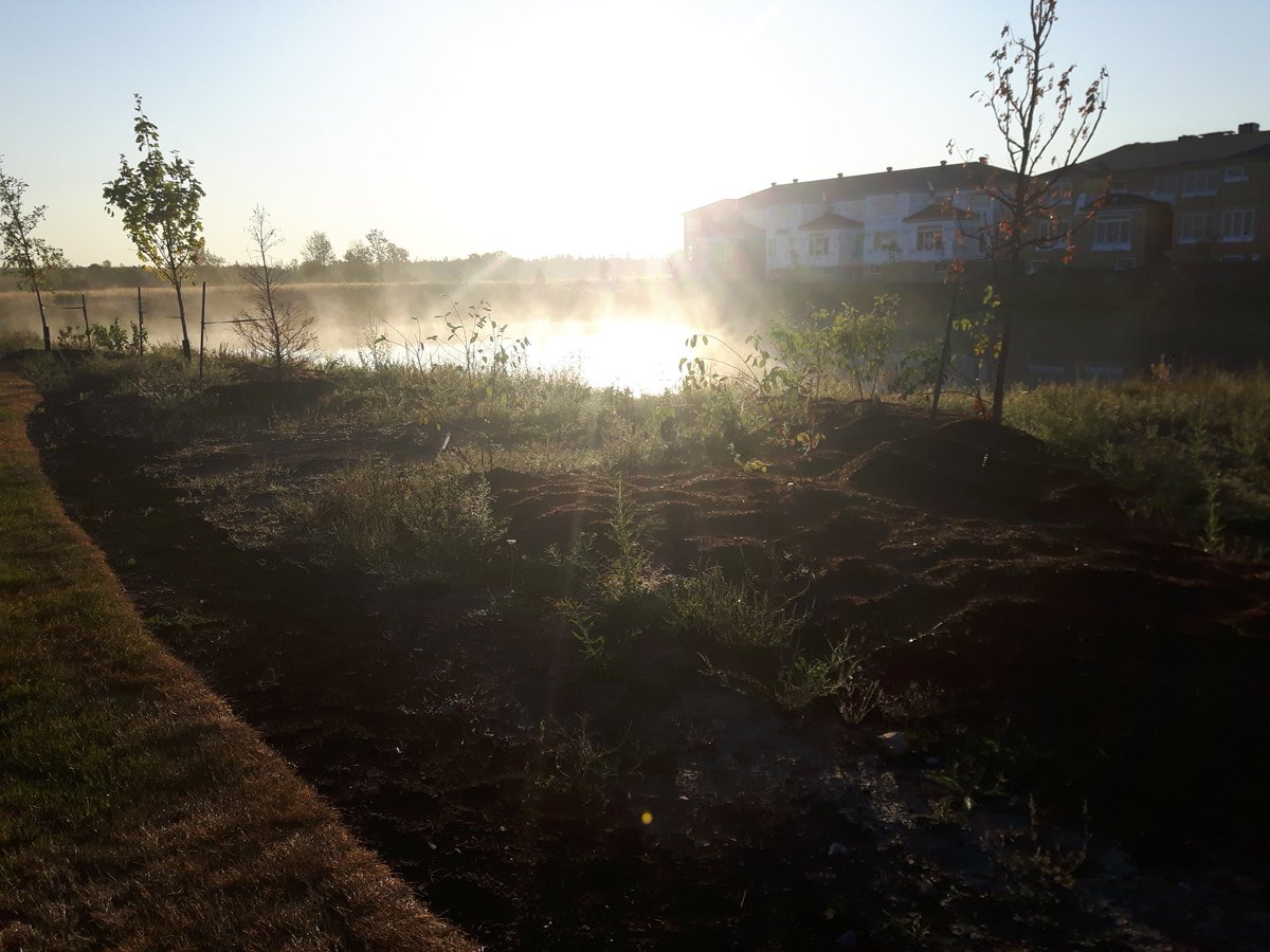 ecoturfottawa's tweet photo. Check out these cool shots from an early start @ecoturfottawa 

#millerscrossing
#badassgrass 
#trustedpros https://t.co/yh23ltBE38